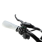 Inokim OXO Electric Scooter